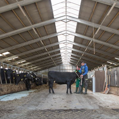 22 08 18 Myerscough (94 of 289).jpg