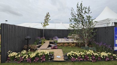 Image for news article: Double Gold for Myerscough at Southport Flower Show