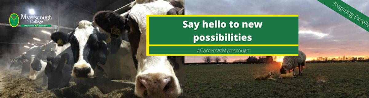 Casual Lambing / Calf Feeder – Based at Preston