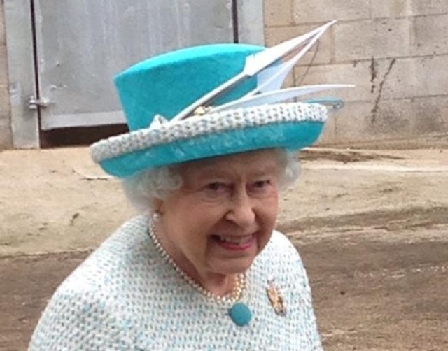 Queen 2015 8