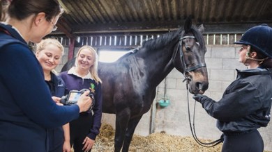 Image for news article: OPINION: Supporting young people into the equine industry