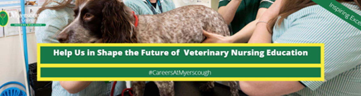 Lecturer in Veterinary Nursing (Various fixed term roles)