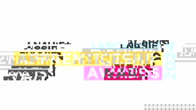 Image for news article: Myerscough named a double finalist in Lancashire Apprenticeship Awards