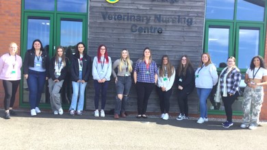 Image for news article: First cohort begin new innovative VetSkill programme