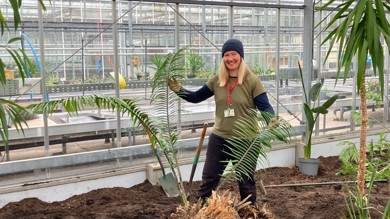 Image for news article: Myerscough takes care of one of the rarest plants on Earth
