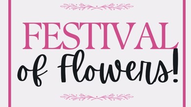 Image for news article: Creative passion blooms at Festival of Flowers