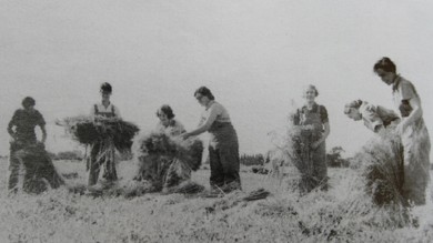 Some of the 'Women's Land Army' at our Hutton campus during World War II.