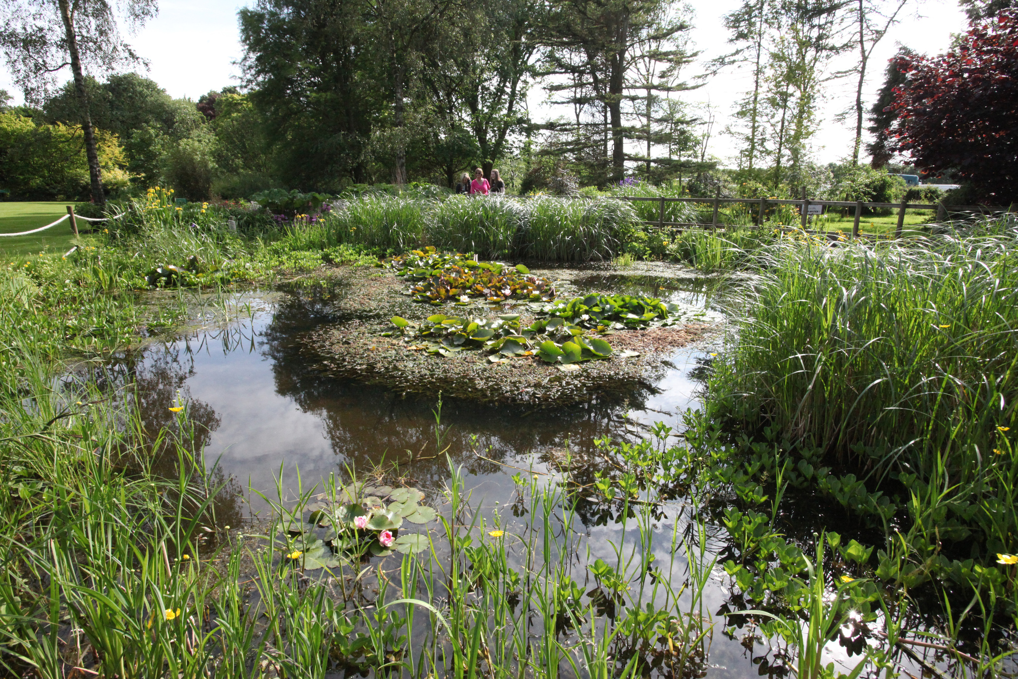 Our landscaped gardens