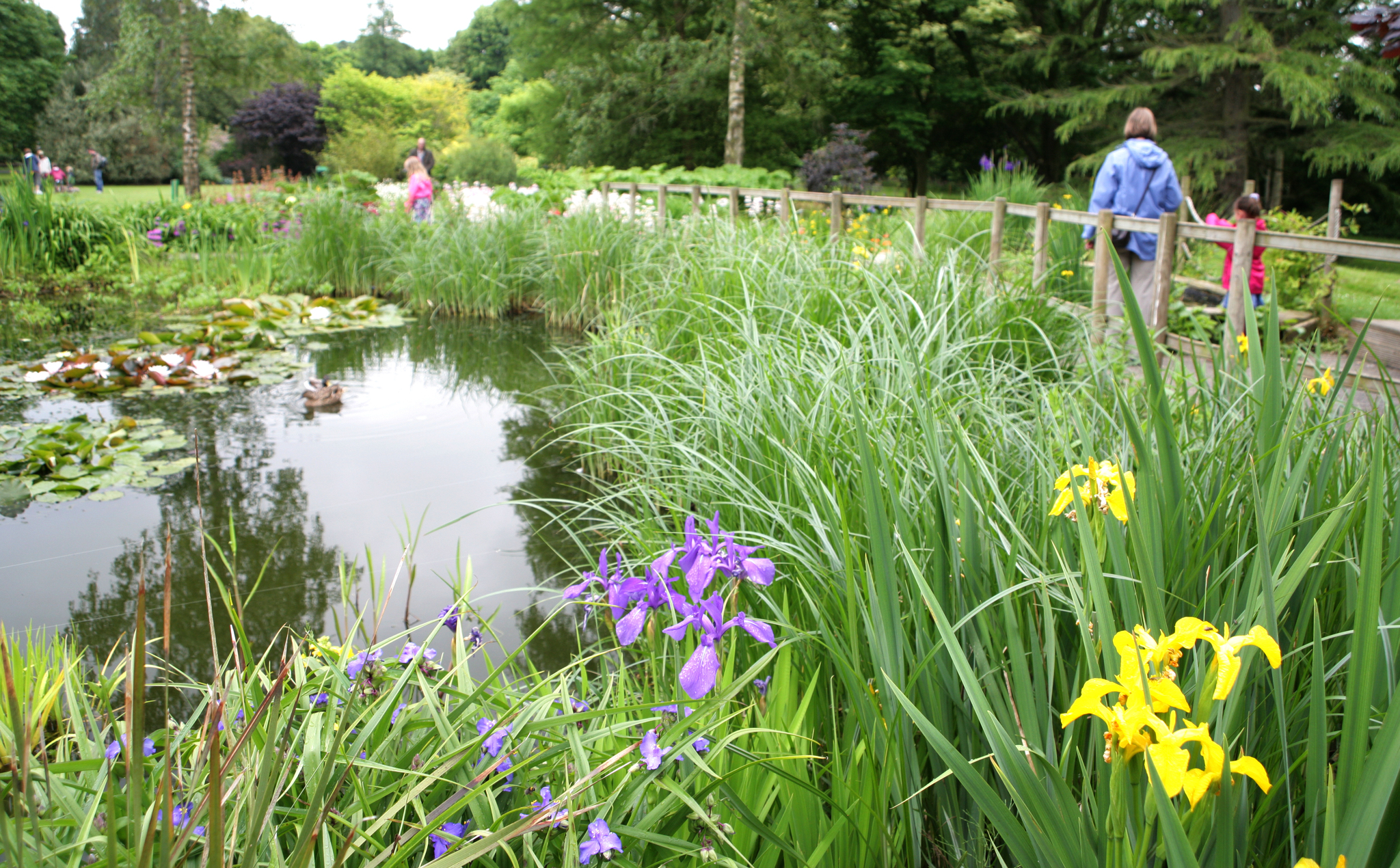 Some of our award winning landscaped gardens at the Preston Campus