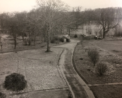 Bilsborrow campus front entrance drive 1963