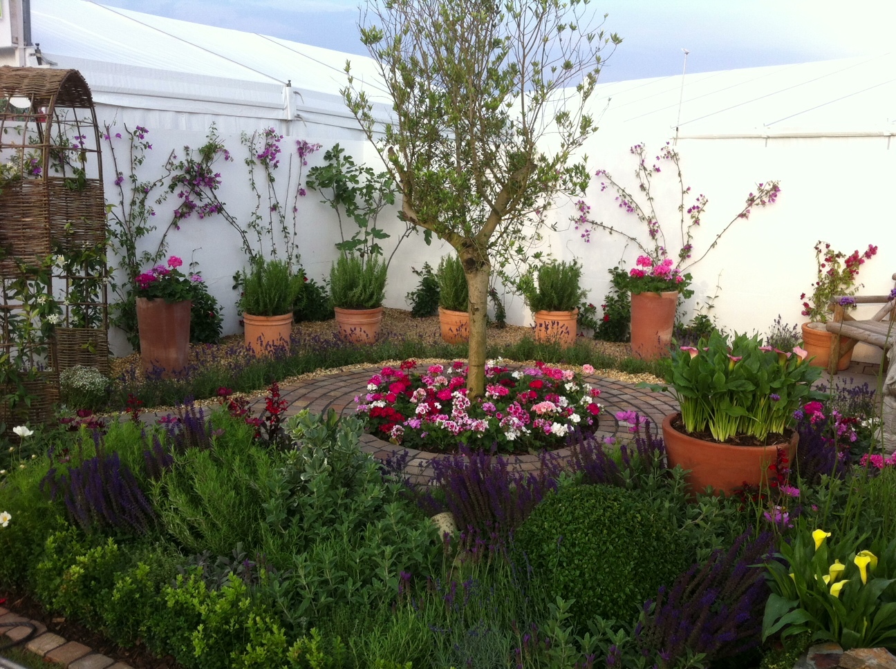Our Gold Medal winning garden at Southport Flower Show