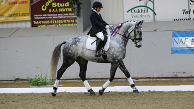 Image for news article: Equine Arena to reopen on MONDAY (May 18th)