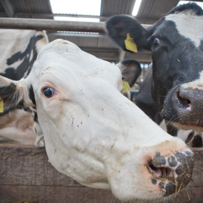 07-09-17 FFIT-8477.jpg