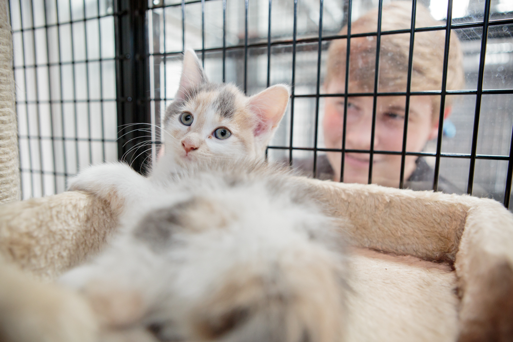 City & Guilds Level 2 Technical Certificate in Animal Care | Myerscough College City & Guilds Level 2 Technical Certificate in Animal Care | Myerscough College