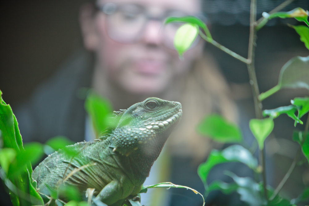 Animal Studies | Myerscough College Animal Studies | Myerscough College