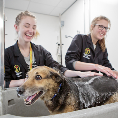 Myerscough - 30-05-17 (247 of 306).jpg