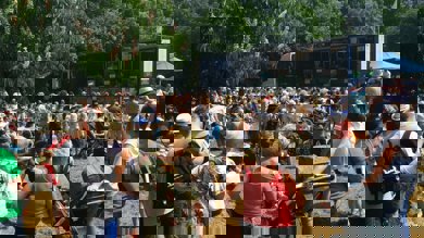 Image for news article: Announcement: Open Day 2022