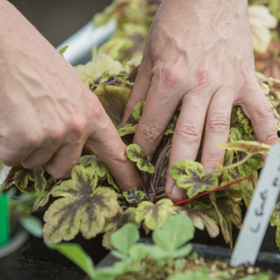 22 08 18 Myerscough (283 of 289).jpg