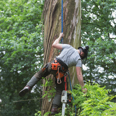 190618 Myerscough Prospectus-182.jpg