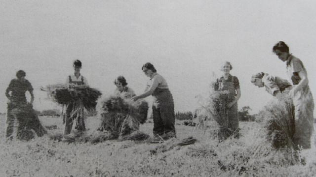 WOMEN'S LAND ARMY AT HUTTON DURING WW2.jpg