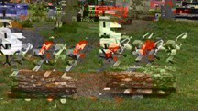 Image for news article: Chainsaw