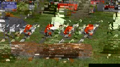 Image for news article: Get ready for Myerscough’s Careers Expo and Arbor Day