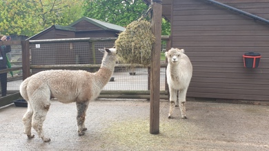 Image for news article: Course Advice Morning - Warrington Centre (Oct)