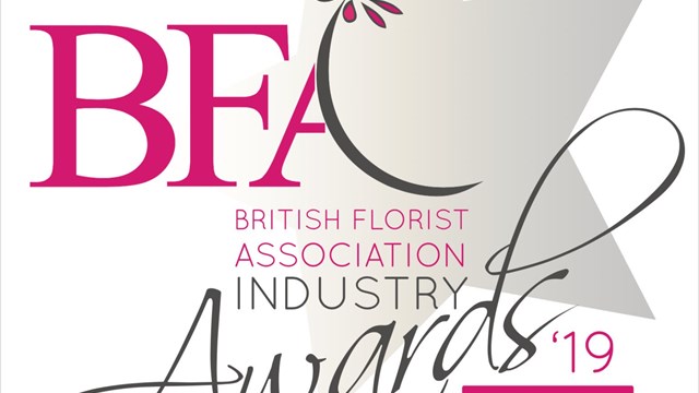 bfa finalist 2019 logo.jpg