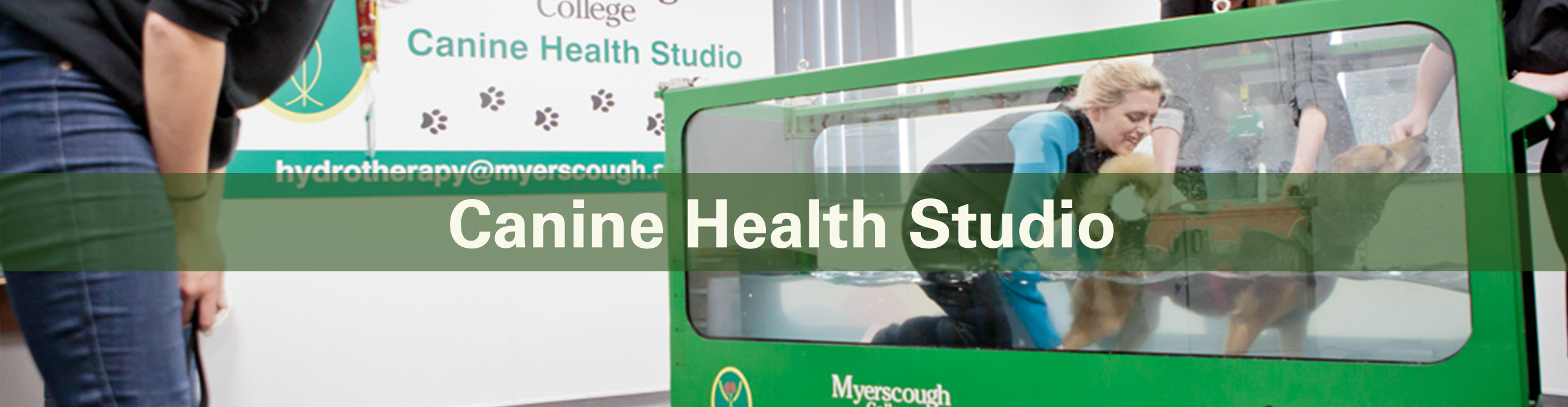 Canine Health Studio Myerscough College