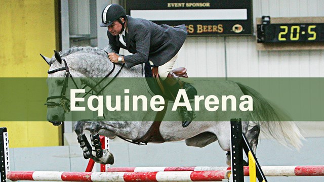 Commercial Services Hero Equine Aerna Banner Template