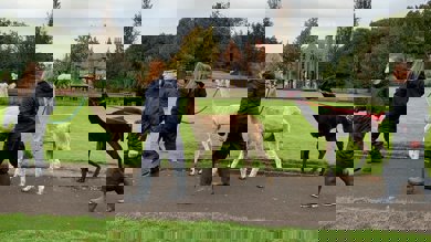 Image for news article: Course Advice Morning - Warrington Centre MARCH