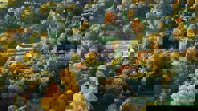 Image for news article: Course Advice Morning - Warrington Centre JUNE