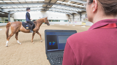 Image for news article: Myerscough’s equine research is helping the whole industry