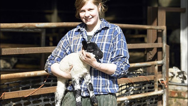 Lambing Student