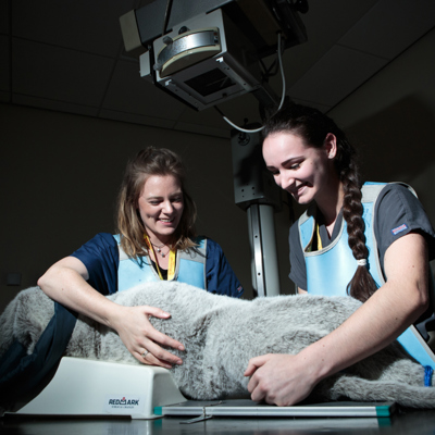 Myerscough 31 05 17A (119 Of 156)