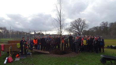 Image for news article: Preparations continue for Arbor Day 2021 as new Patron announced