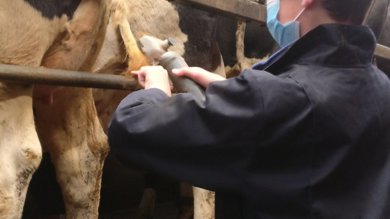 Image for news article: FEATURE: 14-16 programme offers practical GCSE alternative