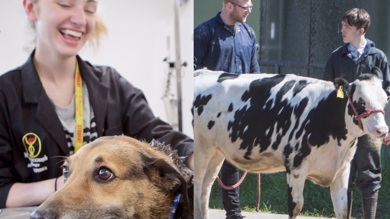 Image for news article: Myerscough partnership with Ullswater Community College for Agriculture and Animal Studies (2)