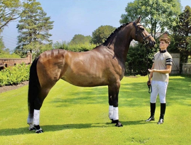 Former student Harrison Ashton with a horse