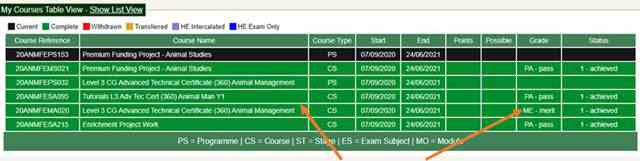 A list of grades received on My Portal.