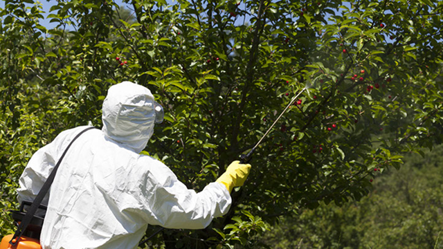 Pesticide Stock Image