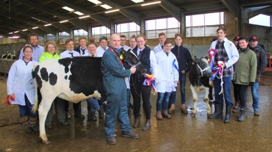 Image for news article: Agriculture students stage moo-vellous Christmas Calf Show