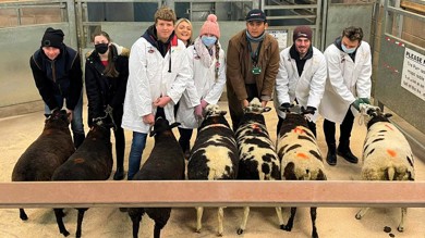 Image for news article: Foundation learners go baa-rmy at Auction Mart