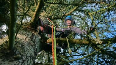 Image for news article: #NAW2022 – Gabriella branches out with RHS arboriculture apprenticeship
