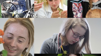 Image for news article: Myerscough celebrates International Women’s Day