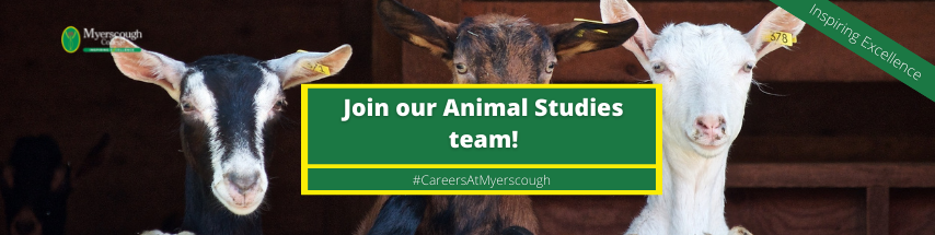 Animal Centre Technician – Based at Croxteth | Myerscough College