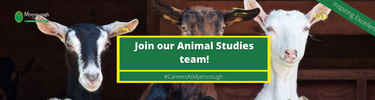 Practical Skills Tutor (Animal Studies) – based at Preston