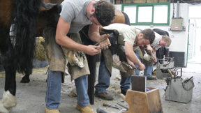 Image for news article: Apprenticeships