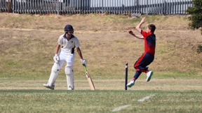 Image for news article: Cricket Studies