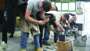 Image for news article: Farriery